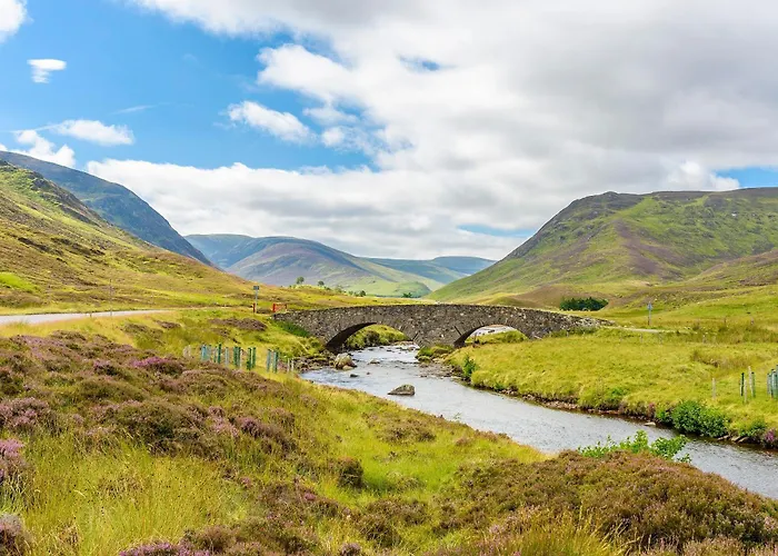 Ardle Lodge
